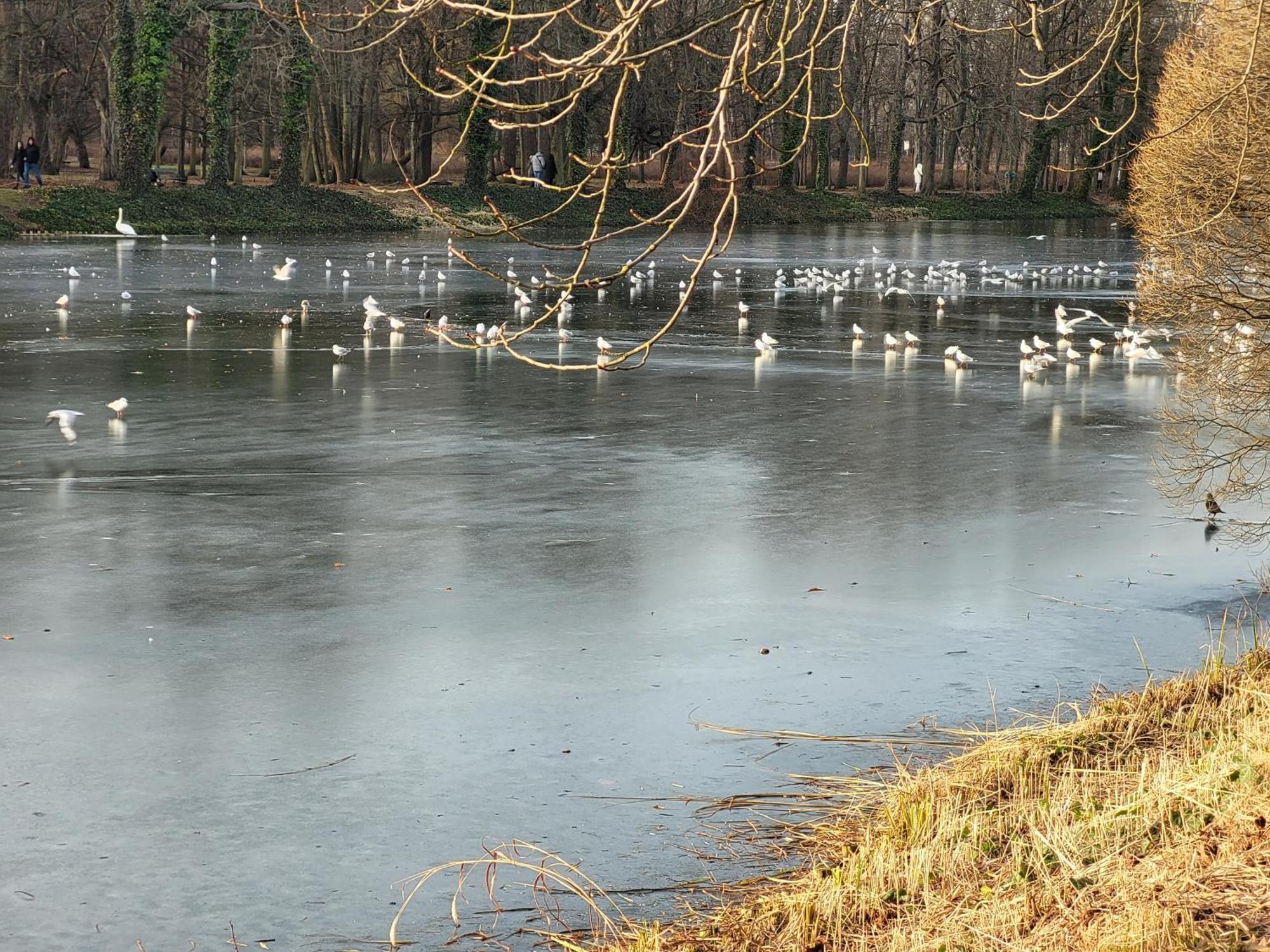 Near Rondo Onz * Warszawa