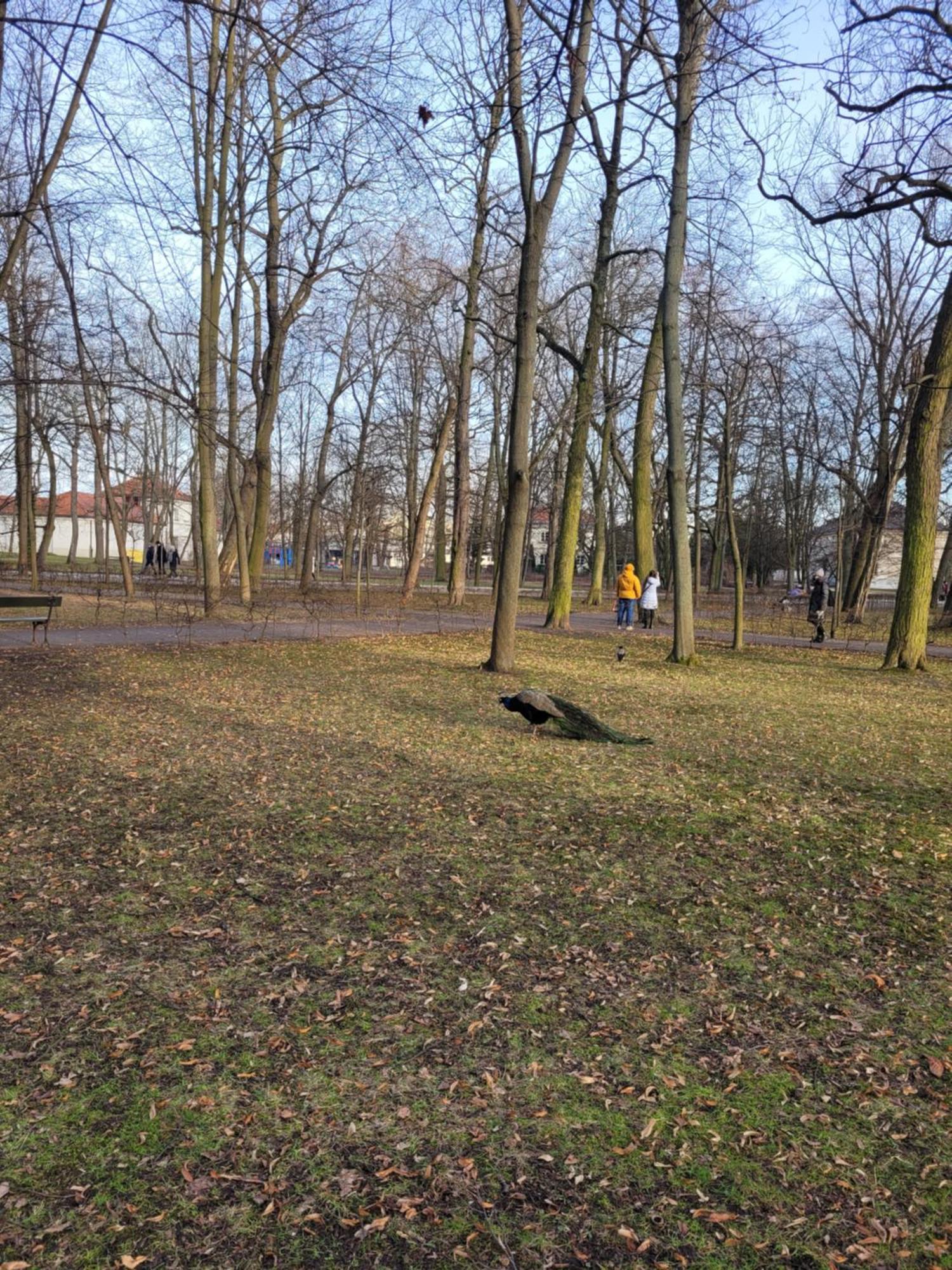 Near Rondo Onz * Warsaw